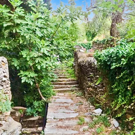 Holiday Ypsila Σπίτι διακοπών *